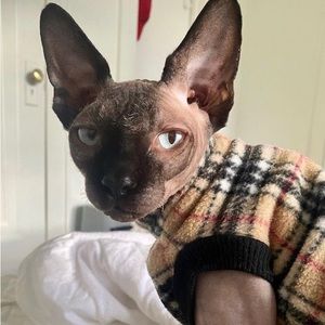 Cat Sweater